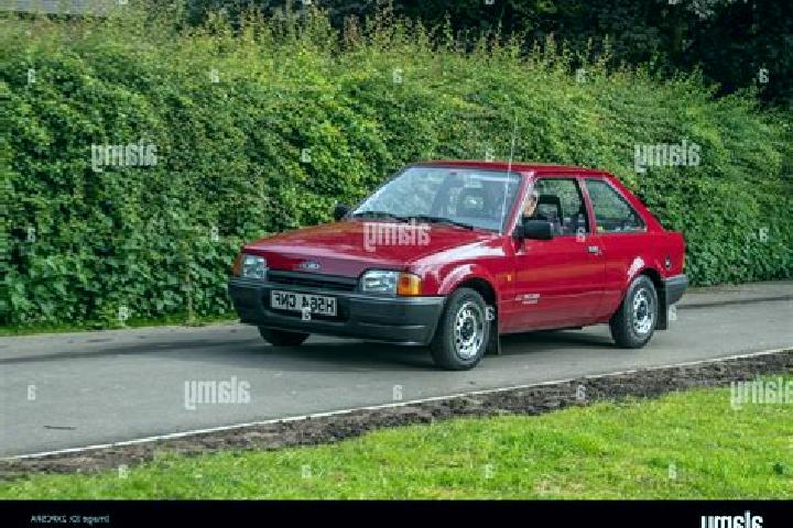 escort Weil