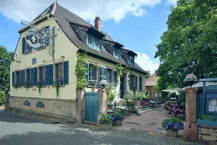 escort Weisenheim am Berg