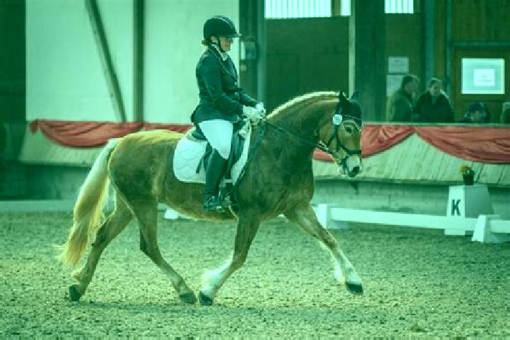 escort Weiten-Gesaess