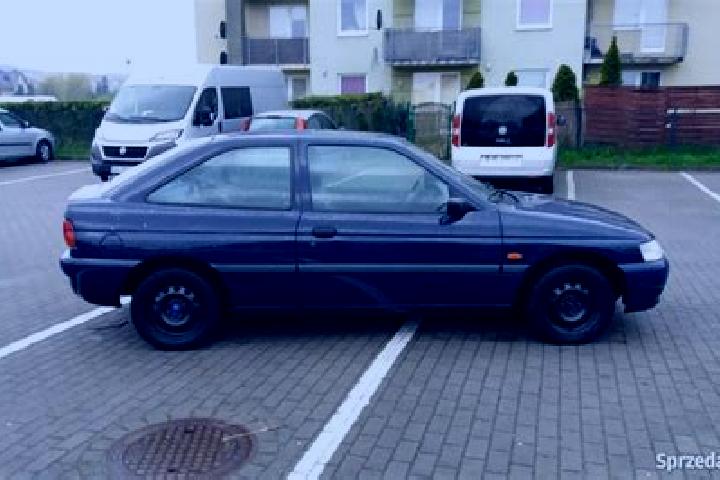 escort Wejherowo