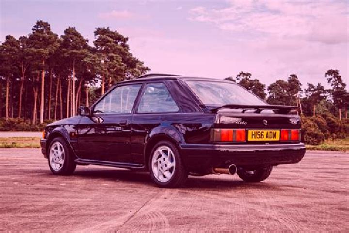 escort Wellard