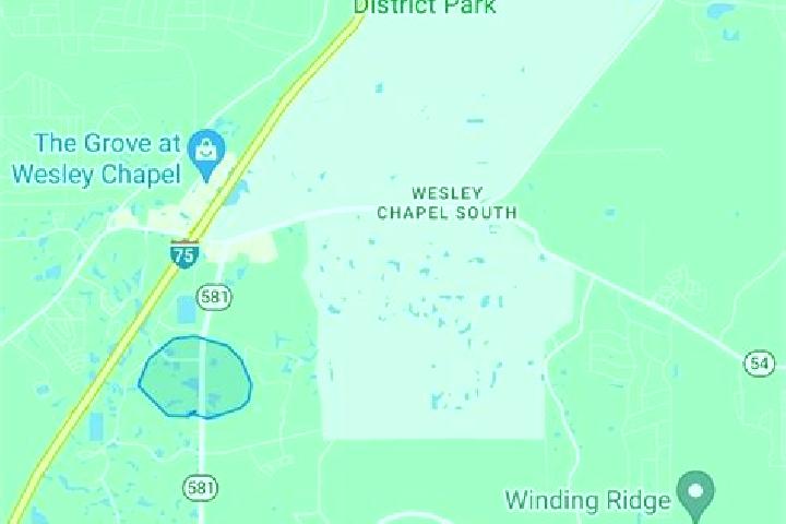 escort Wesley Chapel