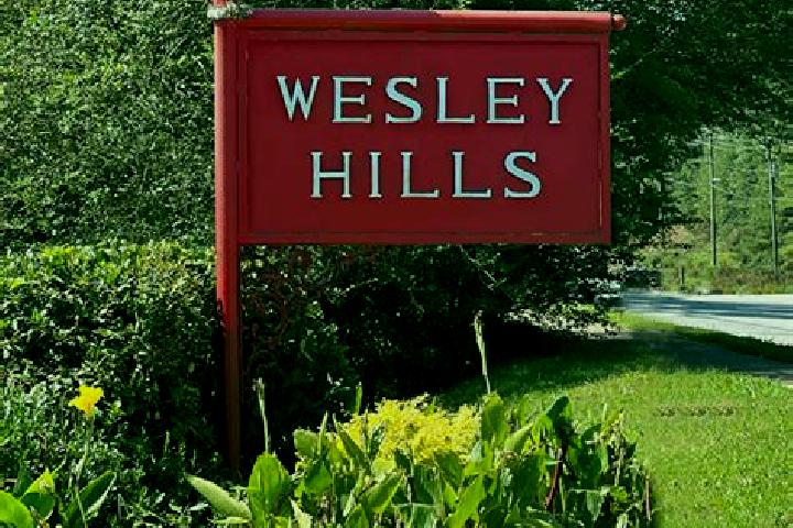 escort Wesley Hills