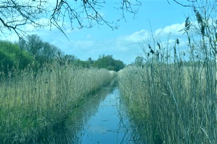 escort West Fens