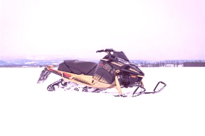escort West Ishpeming