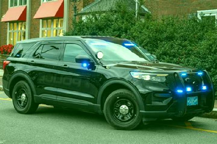 escort West Newbury