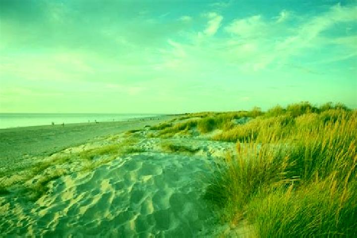 escort West Wittering