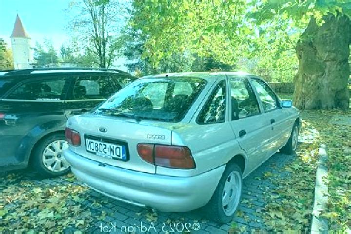 escort Westdorpe