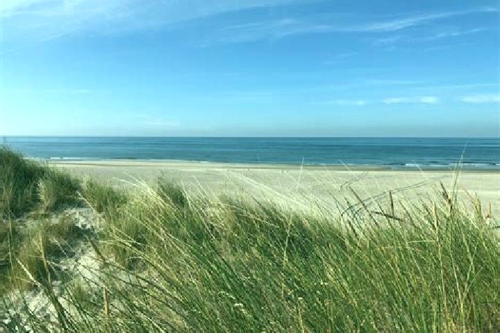 escort Westende