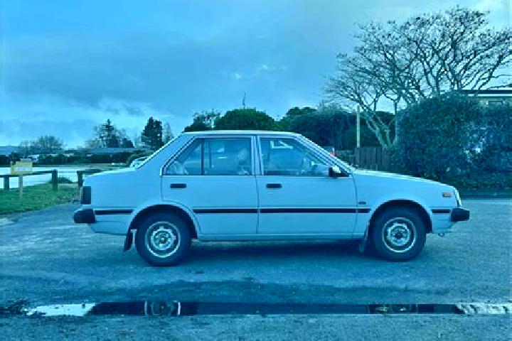 escort Whakatane