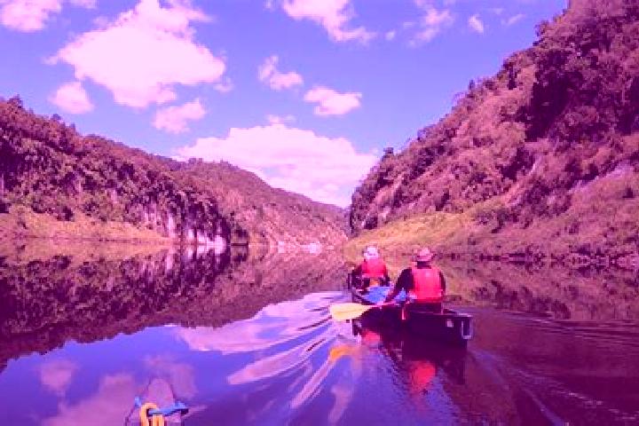 escort Whanganui