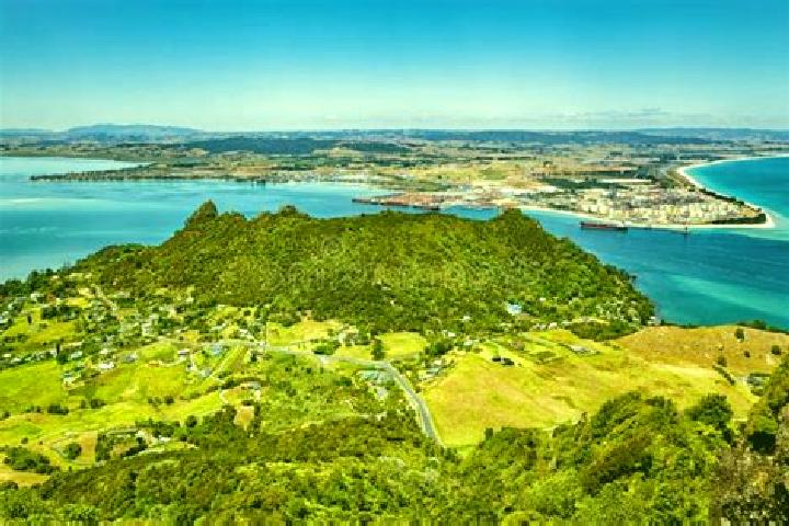 escort Whangarei Heads