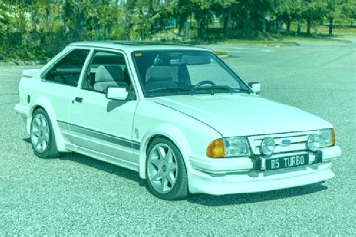 escort White Mills