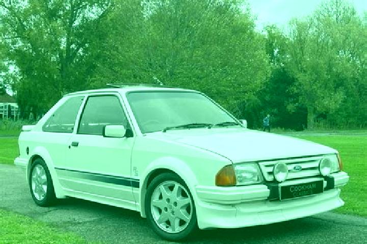 escort White Swan
