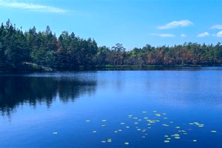 escort Whitmore Lake