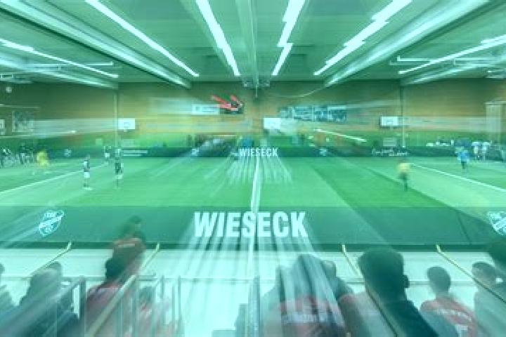escort Wieseck