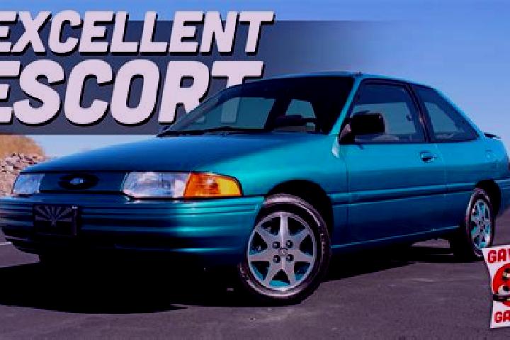 escort Wildenfels
