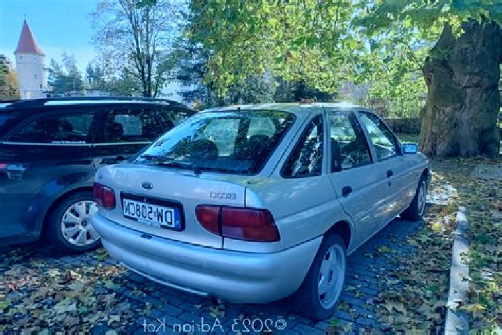 escort Wilmar