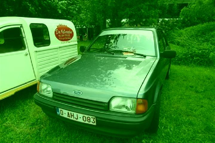 escort Wilsele