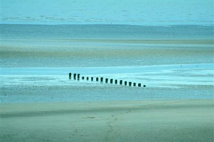 escort Winchelsea Beach