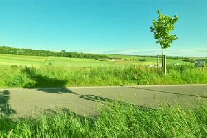 escort Wincheringen
