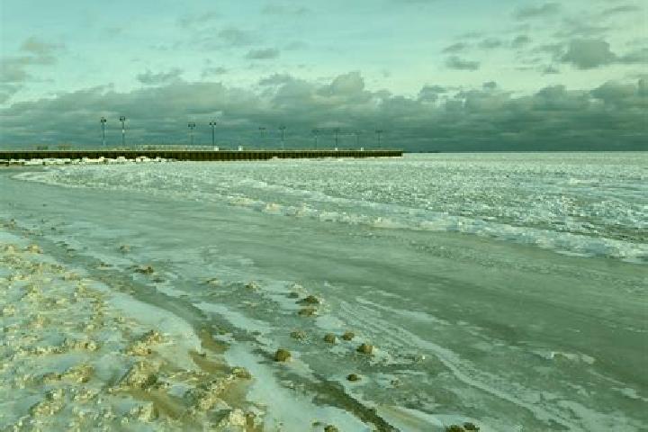 escort Winter Beach