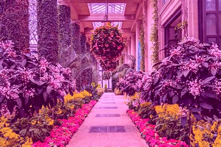 escort Winter Gardens