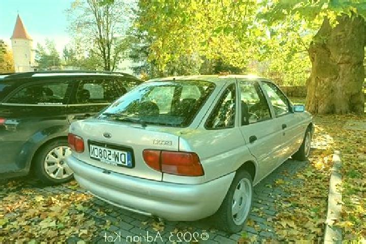 escort Wirsberg