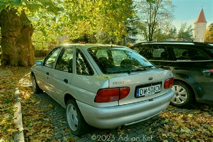 escort Wiselka