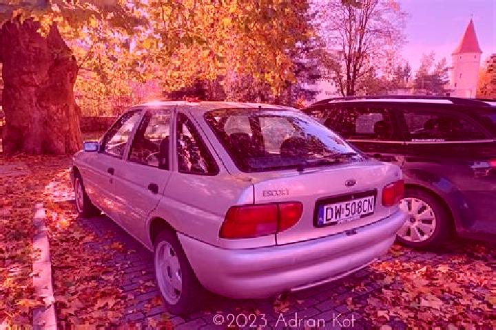 escort Wittdun
