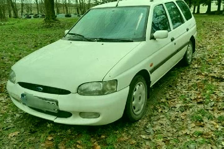 escort Wolbrom