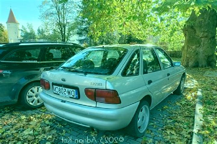 escort Woldendorp