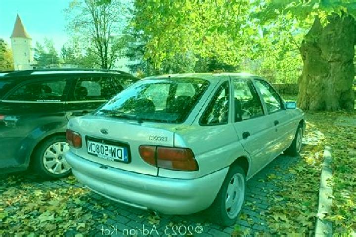 escort Wolkrange