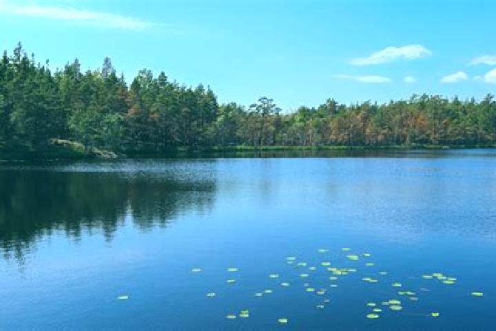 escort Wonder Lake
