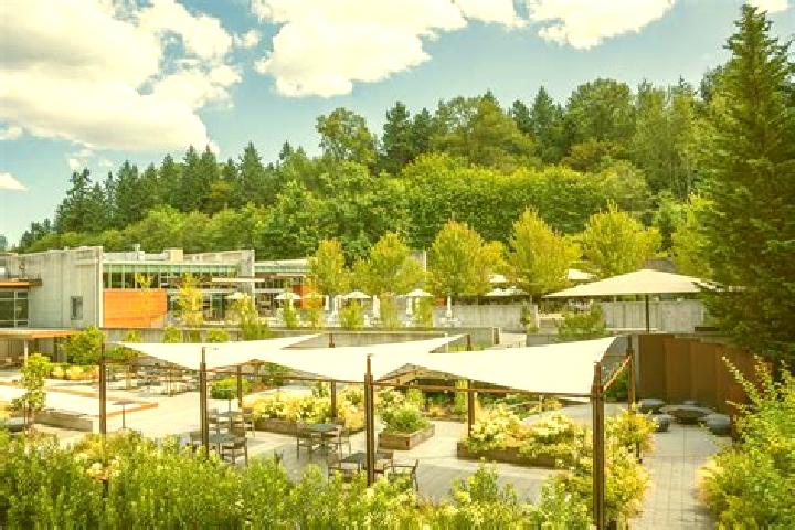 escort Woodinville