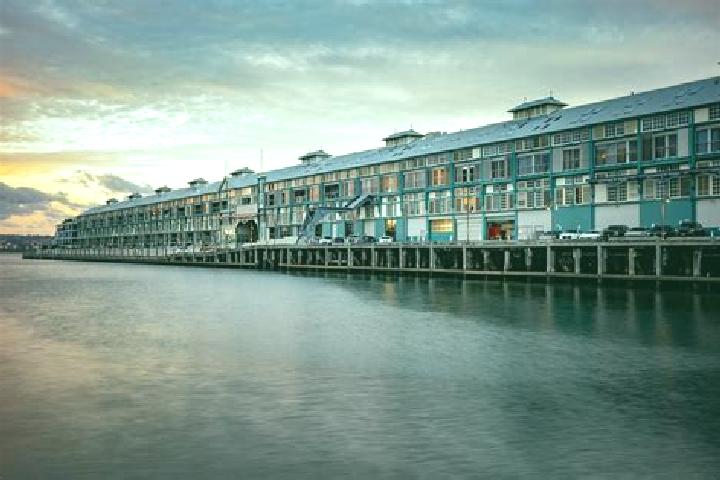 escort Woolloomooloo