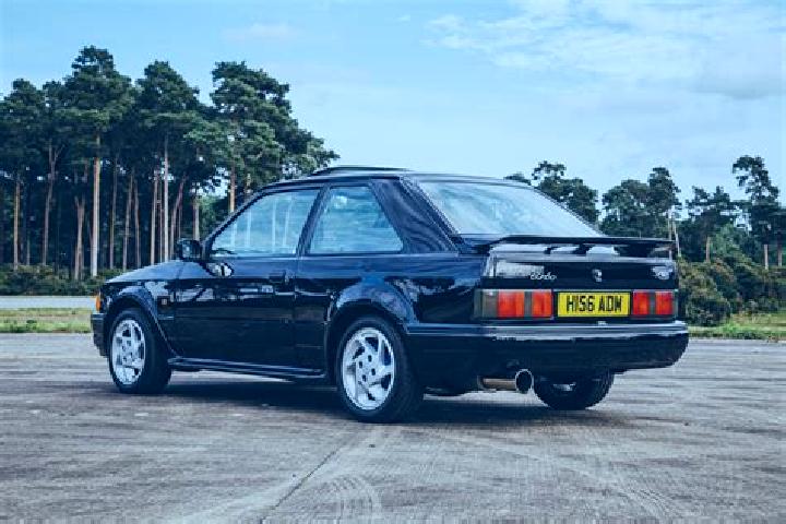 escort Worland