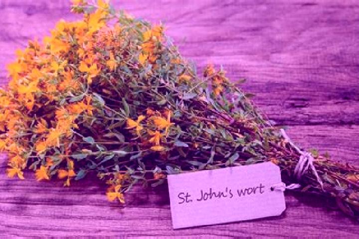 escort Wort