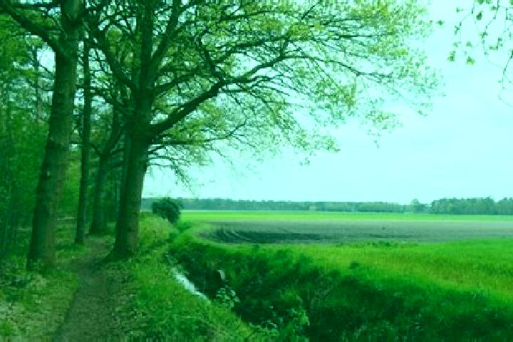 escort Wouwse Plantage