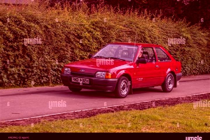 escort Wredenhagen