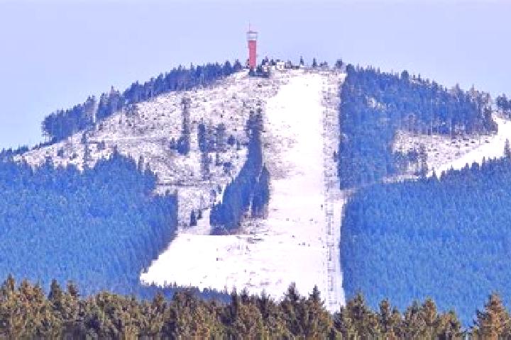 escort Wurmberg