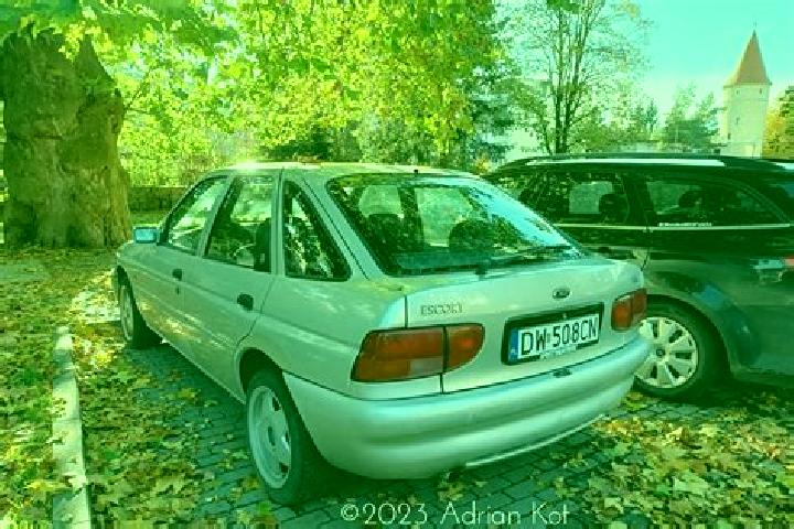 escort Wurmlingen