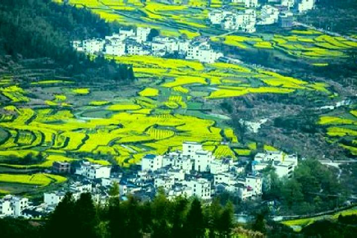 escort Wuyuan