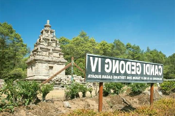 escort Xinbaoli Gedong