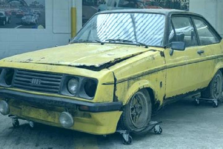 escort Xinfa