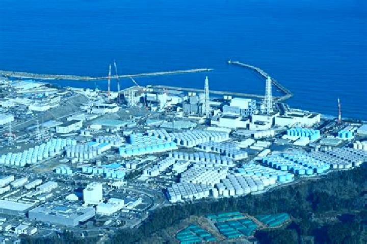 escort Yagoshima