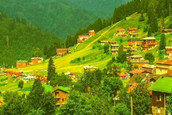 escort Yayla