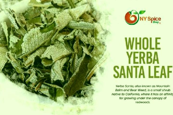 escort Yerba Santa
