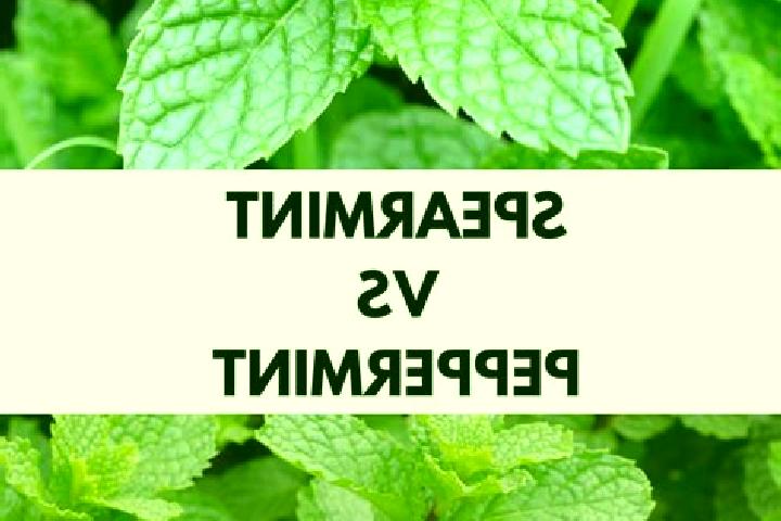 escort Yerbabuena Isbontick