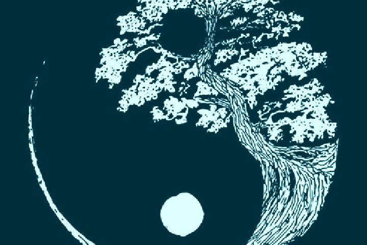 escort Yinyang